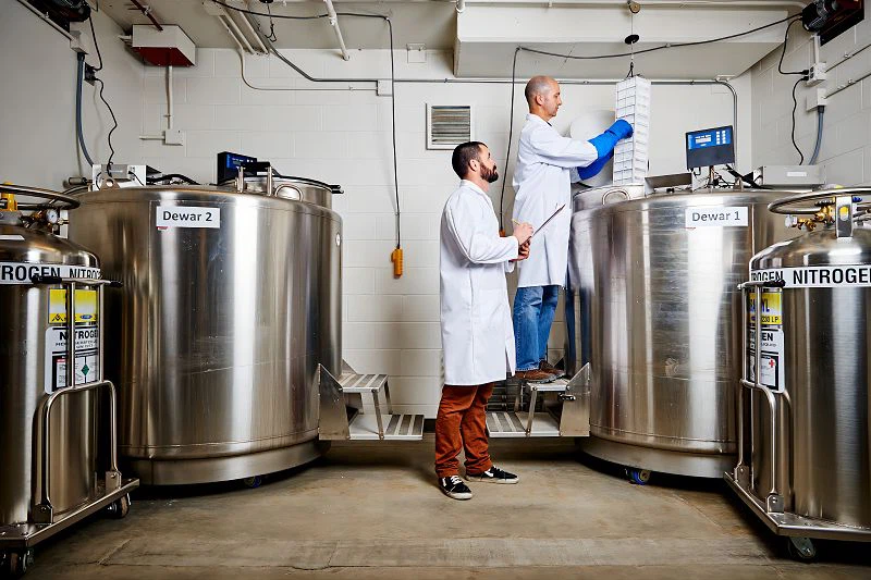 product-1-1 product-1-1